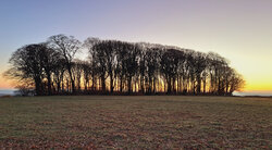 North Molton Village